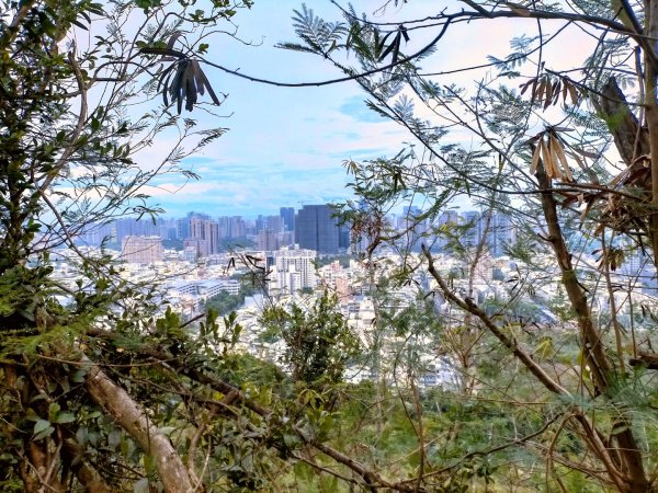 柴山之美~2934543