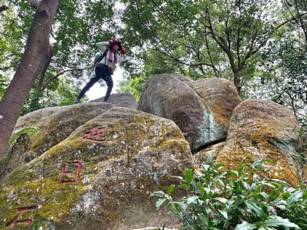 圓通寺烘爐地登山步道大O走3007154