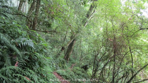 《雲林》望好望角｜石壁山嘉南雲峰步道(中側登山口）202506072805526