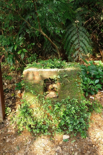 金包里大路90944