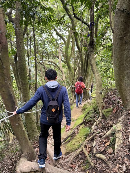 鳶山彩壁 202501312705575