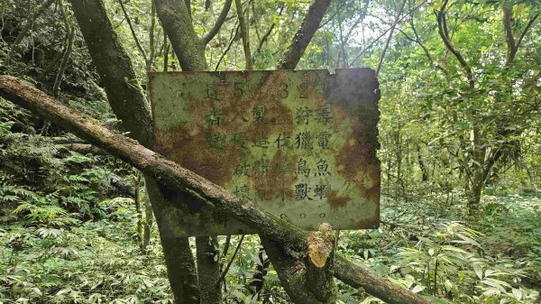 20250523千階嶺步道-平湖東西步道-乾坑古道2796217