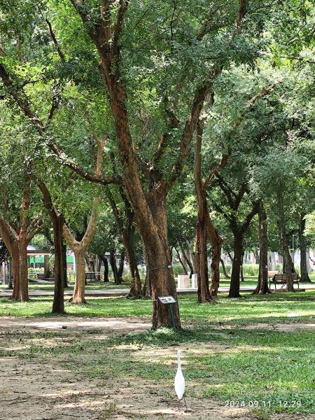 前港公園、大安森林公園、大港墘公園【走路趣尋寶】【臺北健走趣】2591723