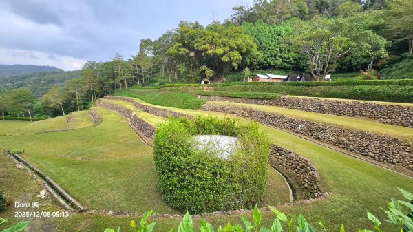 20251208雞寮坑山南稜線O走+鹿寮坑濕地賞景採果2969011