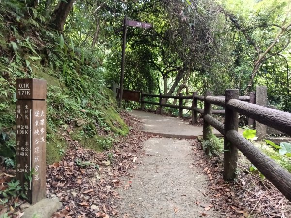 基隆市暖東峽谷大環步道+大菁農場+暖東峽谷小環步道(大O+小O)2832656