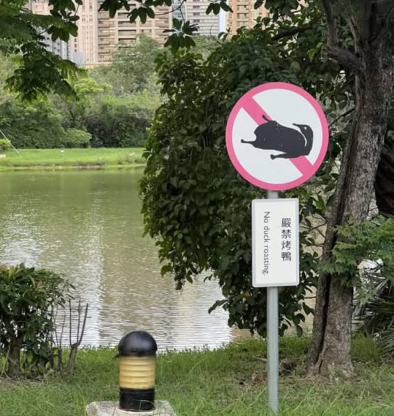 雨天備案💙 台灣博物館的古生代館-台大動植物館免費參觀-北投♨️季2799053