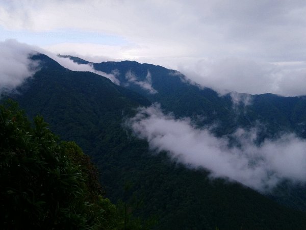 觀霧（榛山，檜山，野馬瞰山，觀霧瀑布）636005