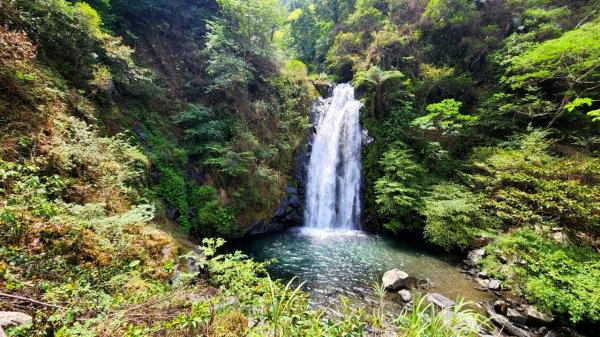 森林系絕美之瀑，冬山鄉的瑰寶，宜蘭新寮瀑布步道