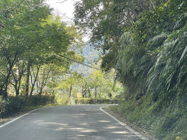 原始密林-向天湖山與光天高山11103151643708