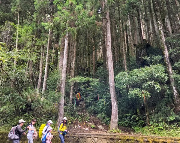 【中級山】宜蘭小百岳，三星山3131375