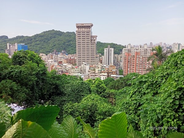 象山秘境、象獅豹虎-四獸山連走步道【走路趣尋寶、健康大穀東】2292264