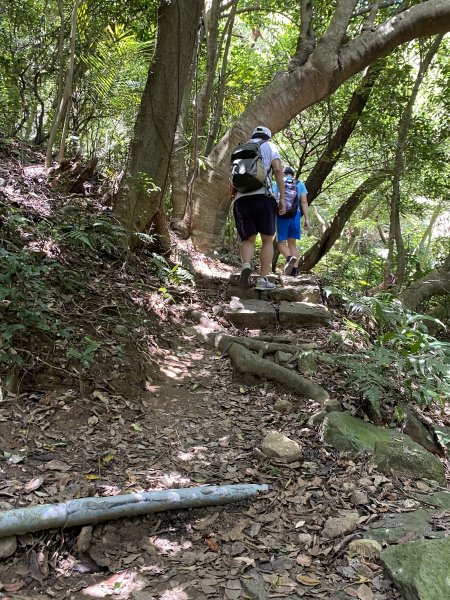 《陽明山秘境健行｜翠峰瀑布 × 天母古道 夏日涼爽路線》2852221
