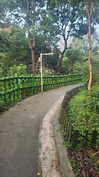 2025-0204 鶯歌_大凍山_三角埔頂山_迴龍2707984