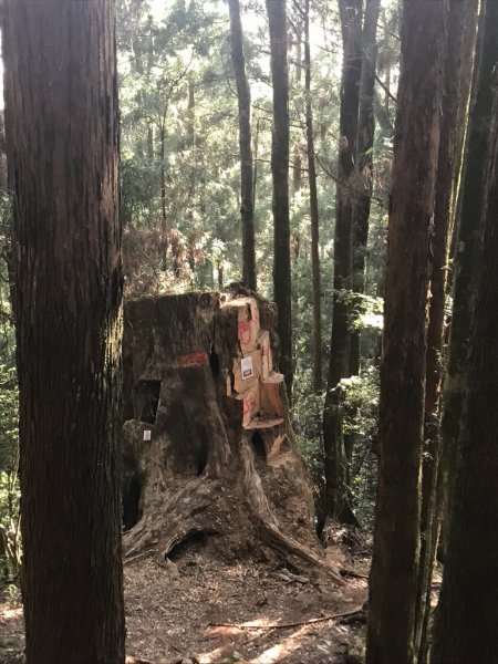 山野傳奇隊－水漾森林耍廢行1058965