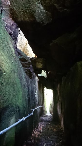 金龜岩、猴洞步道277065