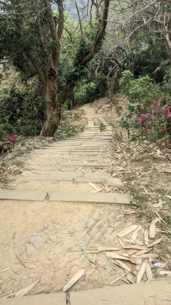大坑 南觀音山2003442