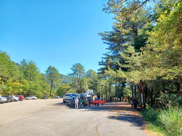 【台中和平】雪山神木步道x小雪山天池步道2933115