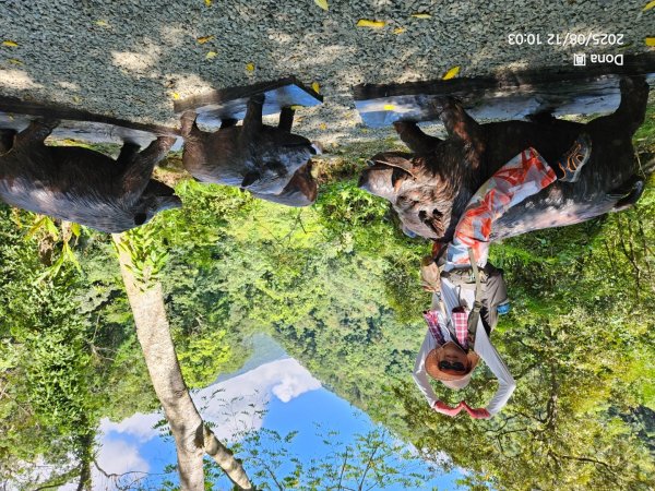 福山大羅蘭溪>古圳步道>黃金水岸2858972