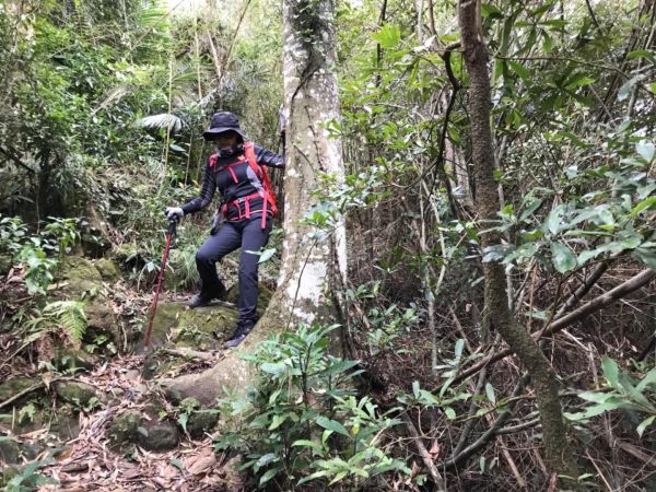 藤坪上猿山連走獅山古道212743