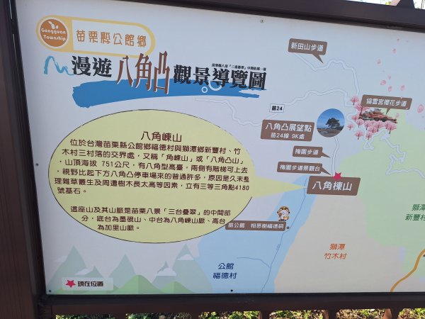 八角崠山+協雲宮櫻花步道202502152712856