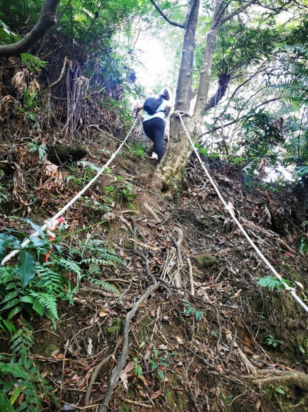 九華山福德宮-平溪子山-台和煤礦-北43鄉道-106縣道2907770