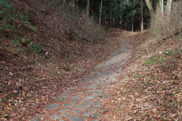 徒步中山道：木曾川源流の里2402599