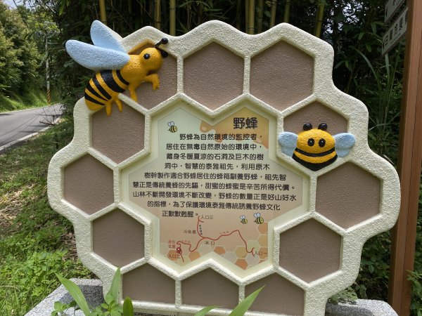 20250705-Ep.02白蘭溪古道-2025森遊竹縣皮皮獅探險隊2851379