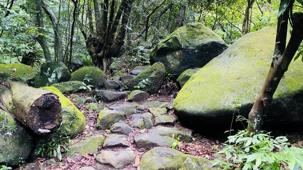 新北石門|老梅溪青山瀑布步道|台版奧入瀨溪|夏日消暑秘境|清涼親子景點1975463