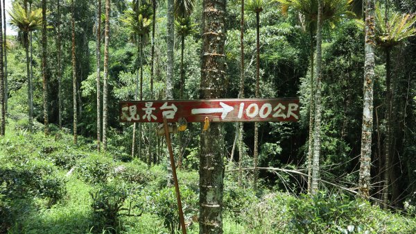 澀水森林步道登山健行趣(步道)2259791