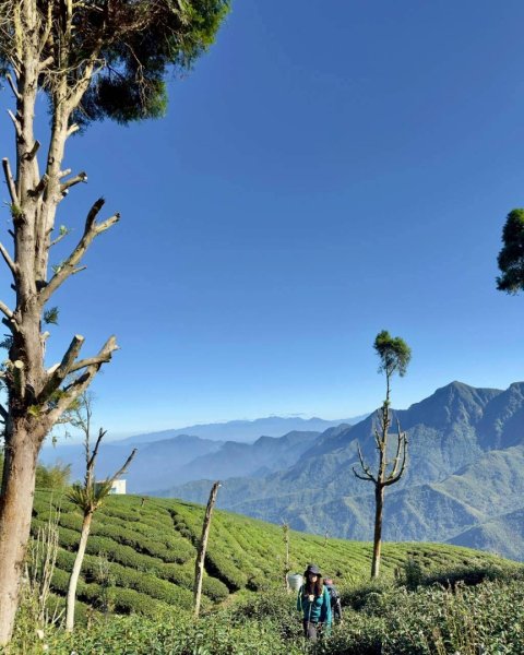20251117樟空崙步道挑竹古道3號 六連峰O繞2939622