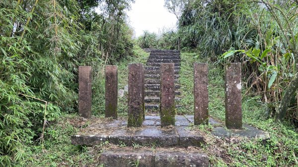 桃源谷絕美海岸草原1896002