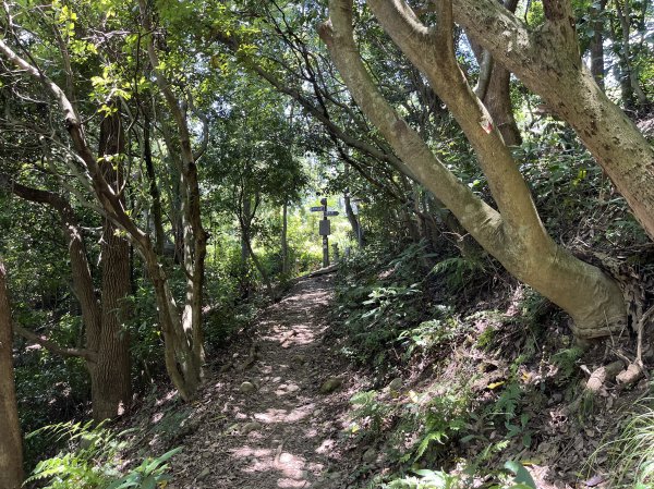 [跟著2025雙北世壯運探索雙北市-7/21] 2025_0615 疾風足球道（輔仁大學－明志路二段2814978