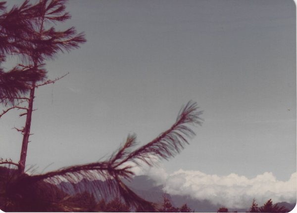 大霸尖山(登頂)群峰-民國71年720813