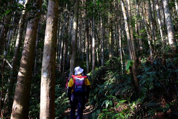 新竹尖石鄉 高島縦走1280660
