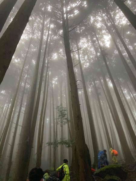 加里山迎新2418283