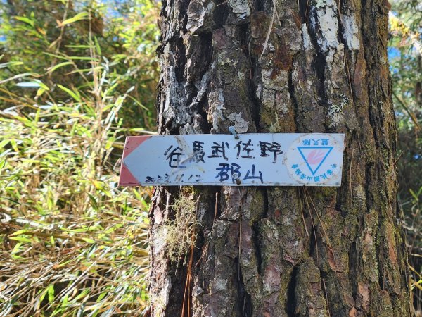 【中級山縱走】羅馬縱走，走進神木的夢幻童話森林世界2943201