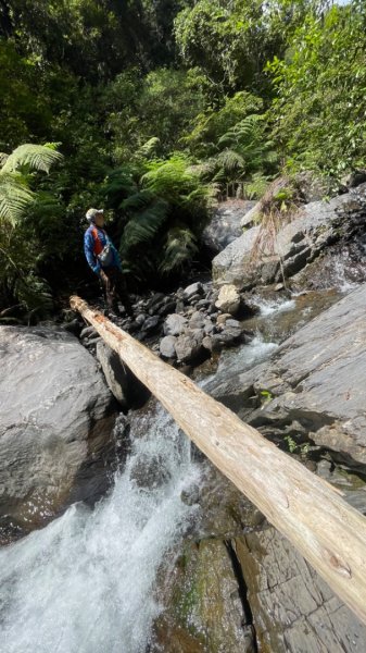 烏來阿玉溪山/西坑林道/探勘派出護管所彈藥庫遺址至獅坑橋2582005