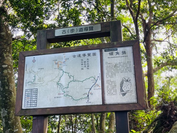 1140618鳴鳳古道｜錫隘-雲洞宮2815366