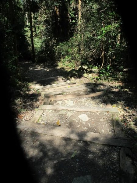 1010325八仙山森林遊樂區3098052