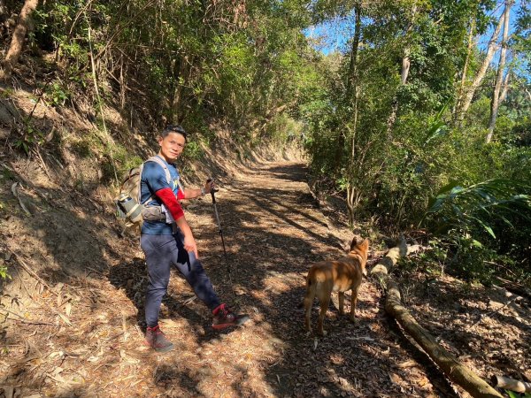 風櫃斗.牛稠坑.二坪山古道【遙知不是雪，為有暗香來】2703860