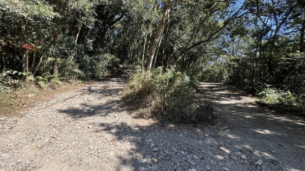 20260213 小百岳鳴海山3002954