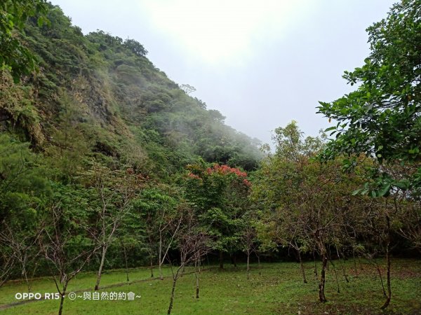 步道巡訪員 l 佐倉步道11月巡訪日誌1167981