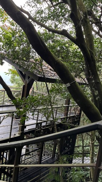 小百岳_大崙頭山2959961