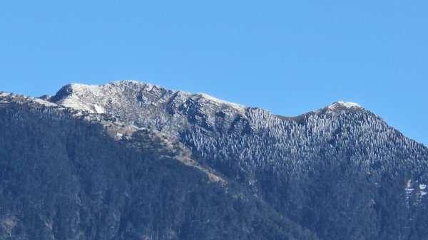 大雪山國家森林遊樂區賞楓／看神木／賞雪白山頭／賞大景2974201