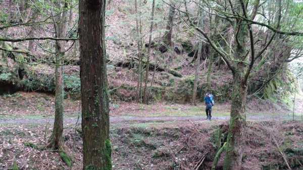 雙龍林道上巒安堂西巒大山1778744