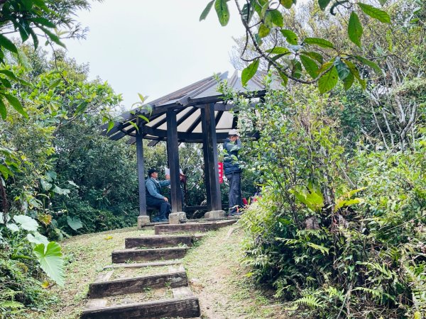 1150124帽子山。25落山風藝術季。2987168