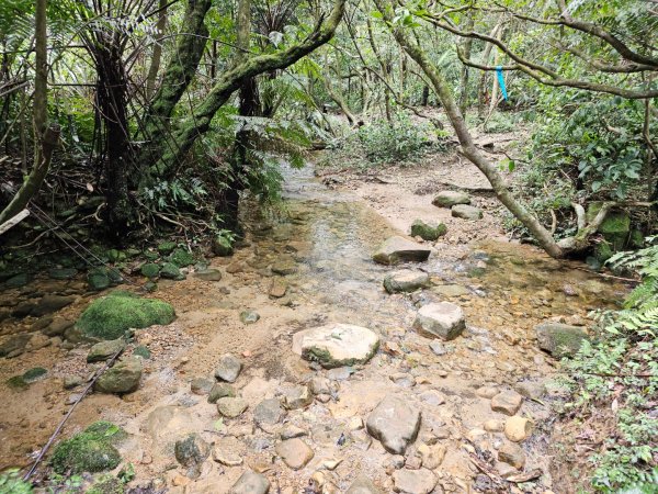 2025年臺北大縱走第四段：風櫃口至中華科大2756004