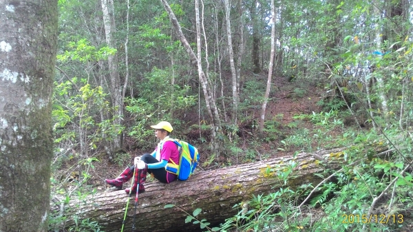 20151213尖石鄉屯野台山石麻達山28014