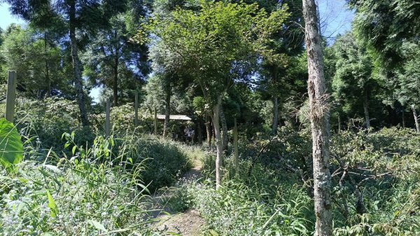 20251004 馬那邦山 - 珠湖 登山口2904897