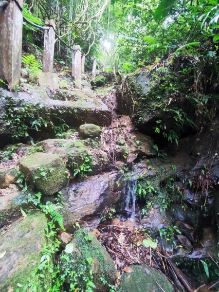 微笑山線之望月亭段2849012